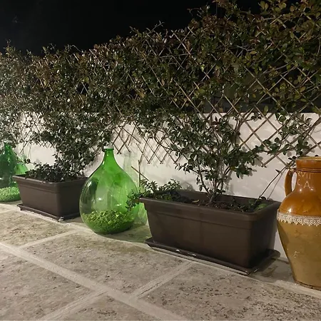 דירה Le Tre Rondini מרטינה פרנקה